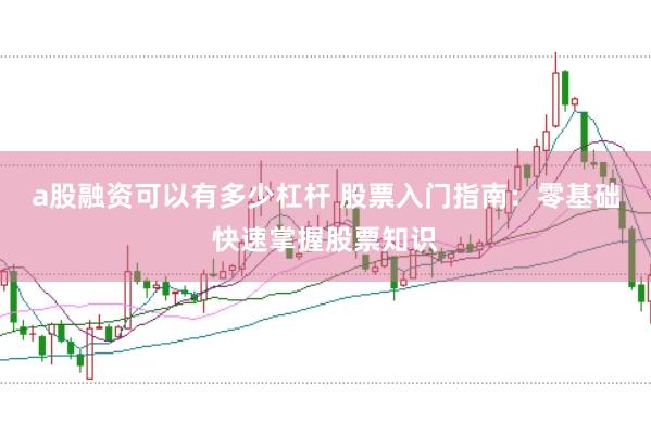 a股融资可以有多少杠杆 股票入门指南：零基础快速掌握股票知识