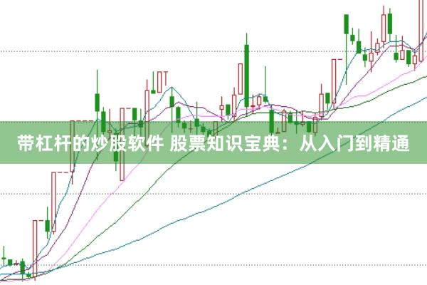 带杠杆的炒股软件 股票知识宝典：从入门到精通