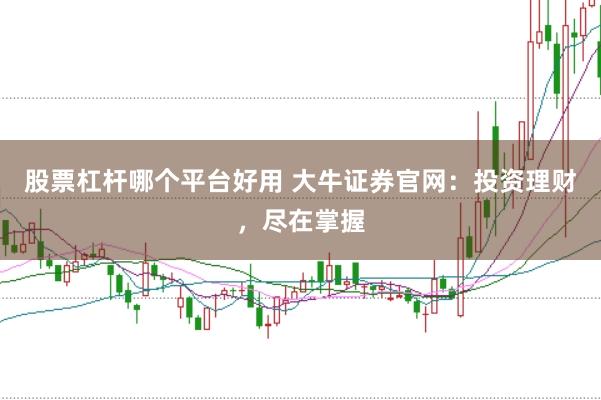 股票杠杆哪个平台好用 大牛证券官网：投资理财，尽在掌握