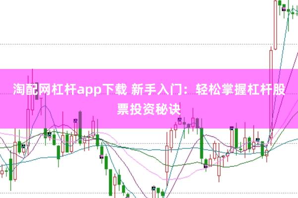 淘配网杠杆app下载 新手入门：轻松掌握杠杆股票投资秘诀