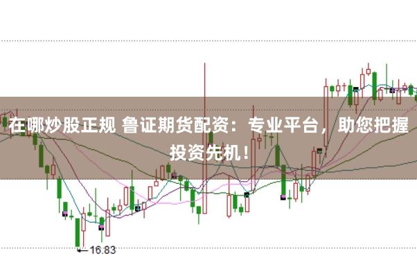 在哪炒股正规 鲁证期货配资：专业平台，助您把握投资先机！