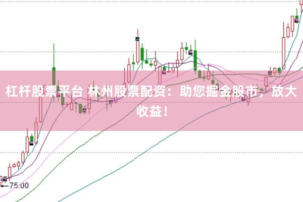 杠杆股票平台 林州股票配资：助您掘金股市，放大收益！