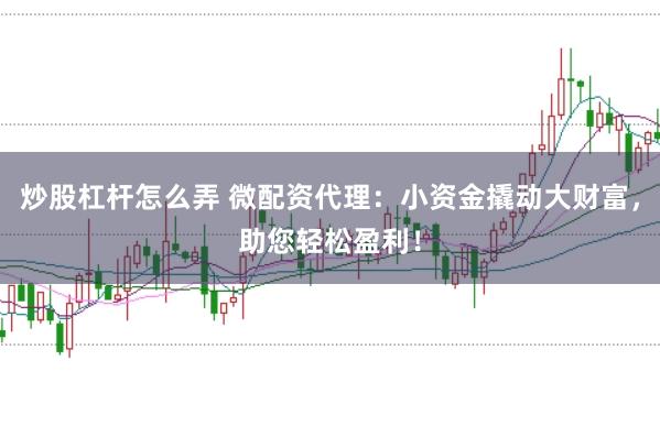 炒股杠杆怎么弄 微配资代理：小资金撬动大财富，助您轻松盈利！