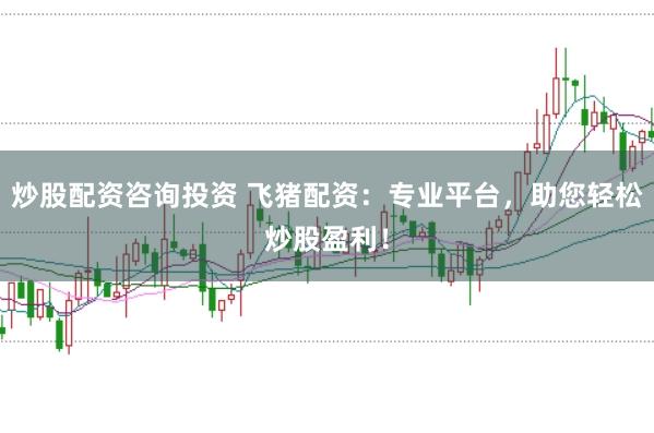 炒股配资咨询投资 飞猪配资：专业平台，助您轻松炒股盈利！